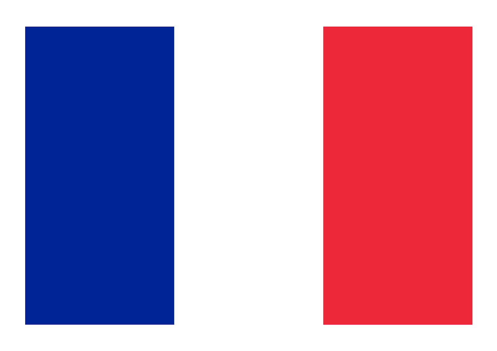 French flag.png